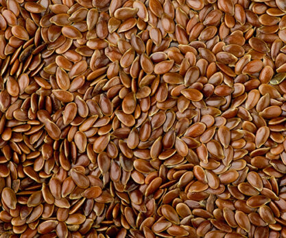 גרעיני פשתן