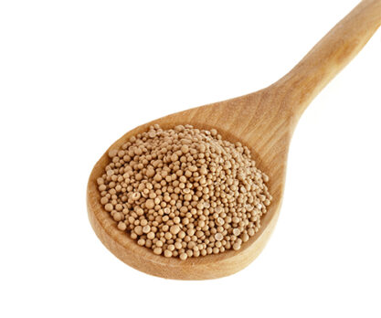 שמרים יבשים לאפיית עוגות ומאפים