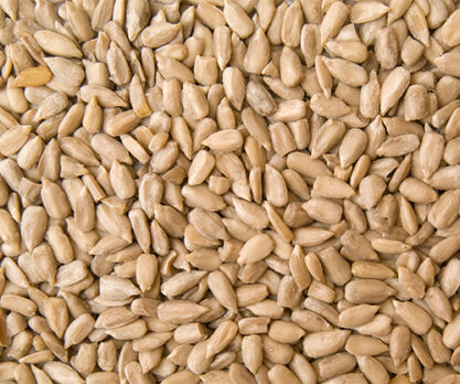 חמניות קלופות