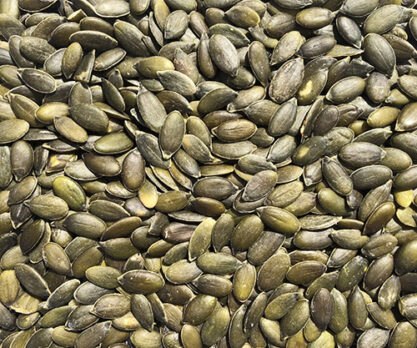 גרעיני דלעת