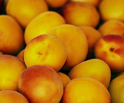 אפרסקים קפואים