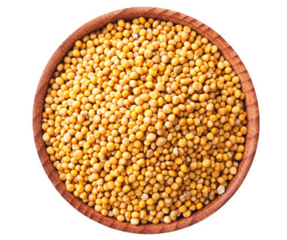 גרגירי חרדל צהוב