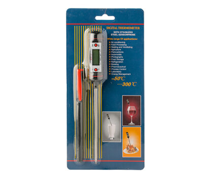 מד טמפרטורה ננעץ