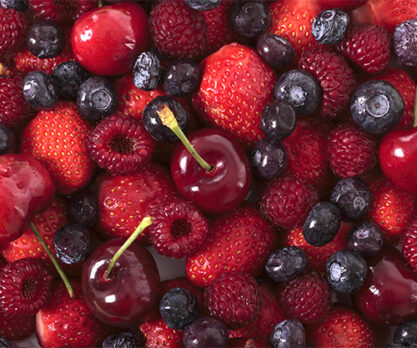 מבחר פירות יער