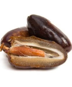 תמר לח