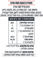 ממרח בטעם תות